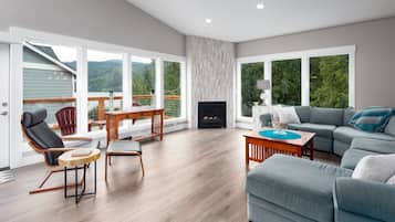 Smart TV, fireplace, DVD player, books