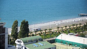 Vista costera con playa, palmeras y un edificio de techo verde.
