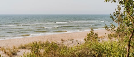 Una spiaggia nelle vicinanze