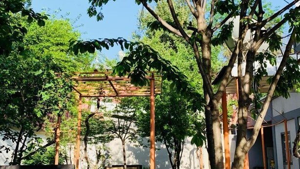 Giardino