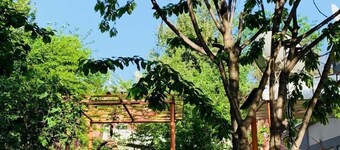 Topchan Hostel Dushanbe