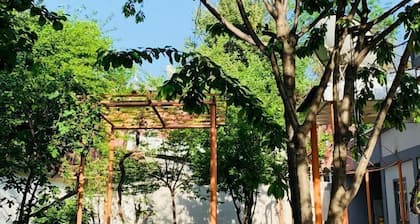 Topchan Hostel Dushanbe