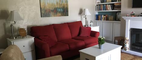 Smart TV, chimenea y libros