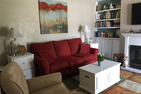 Smart TV, fireplace, books