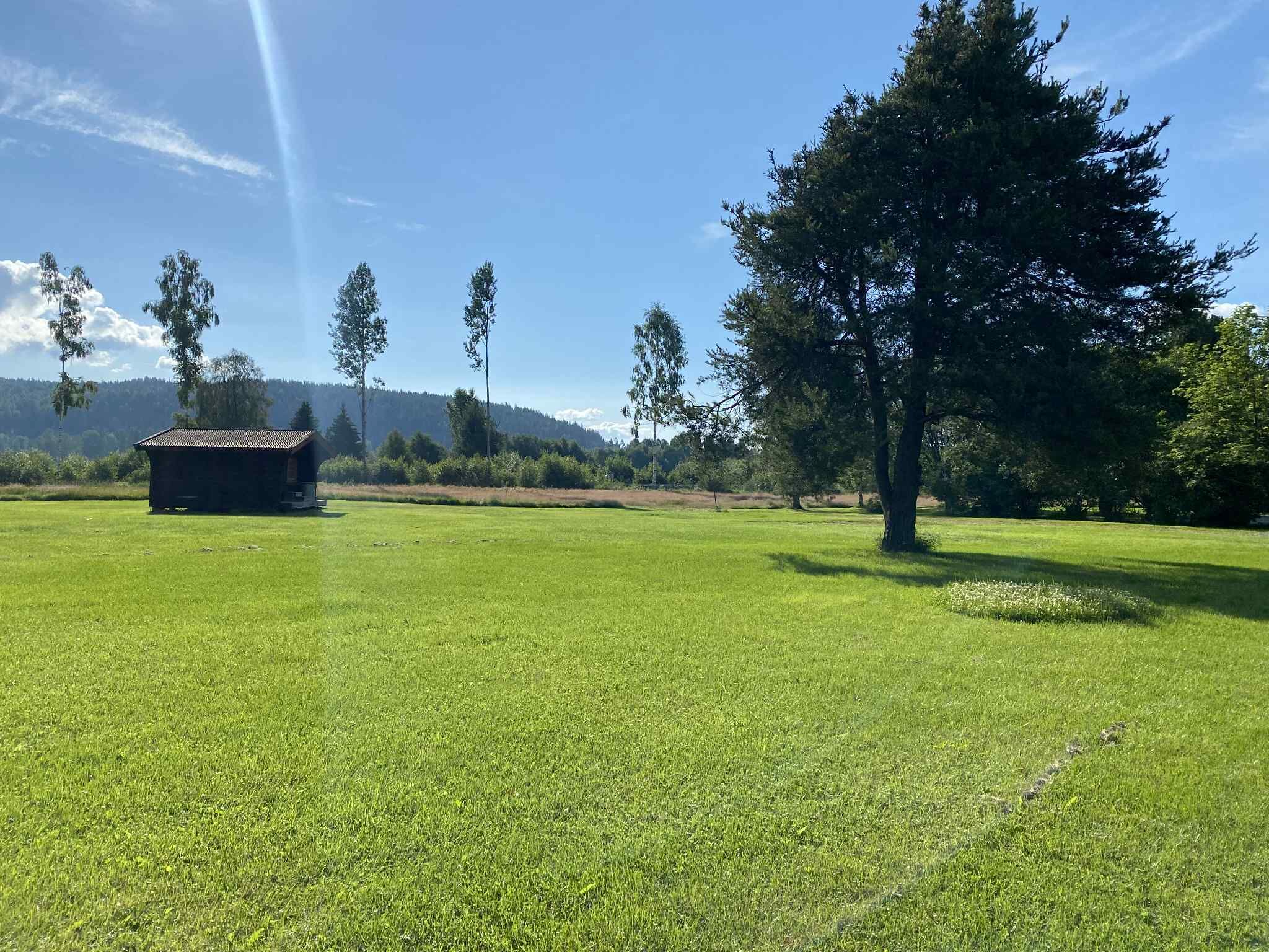 Um campo gramado com um prédio pequeno e uma árvore grande.