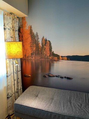 Junior Studio Suite | Desk, laptop workspace, free WiFi, bed sheets - Skaslien Gjestgiveri (Grue)
