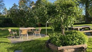Un patio exterior con una mesa y sillas, rodeado de abundante vegetación y un banco de madera.