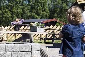 Children’s activities