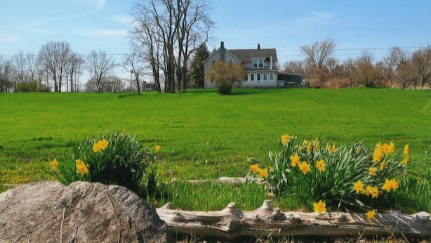 Una casa con un jardín extenso y narcisos en primer plano.