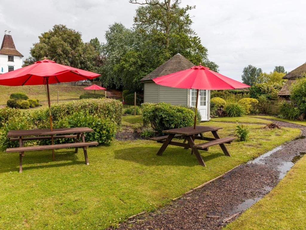 室外用餐