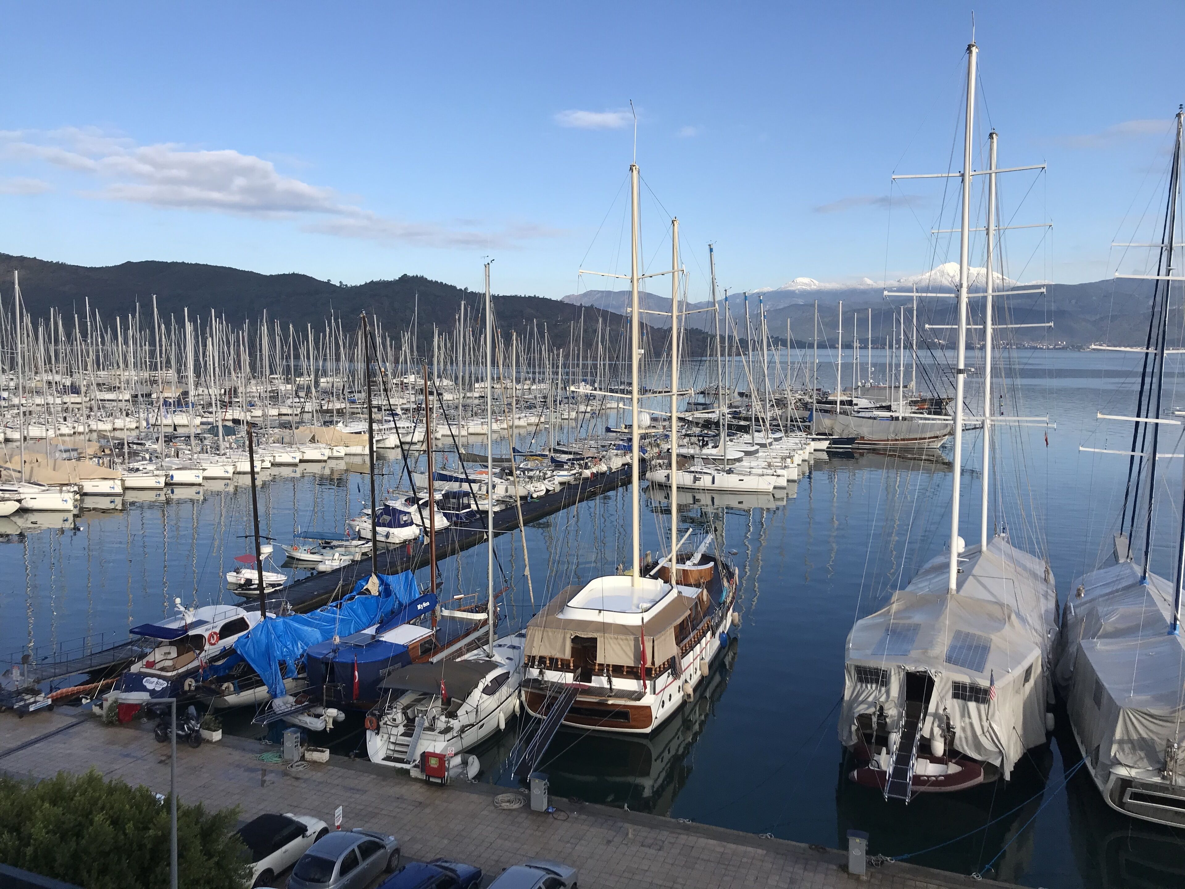 A marina with numerous sailboats docked, a small boat with a covered deck, and a few cars parked nearby.