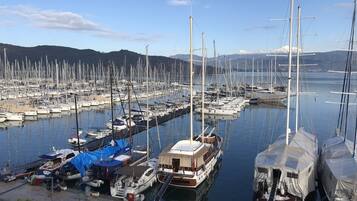 A marina with numerous sailboats docked, a small boat with a covered deck, and a few cars parked nearby.