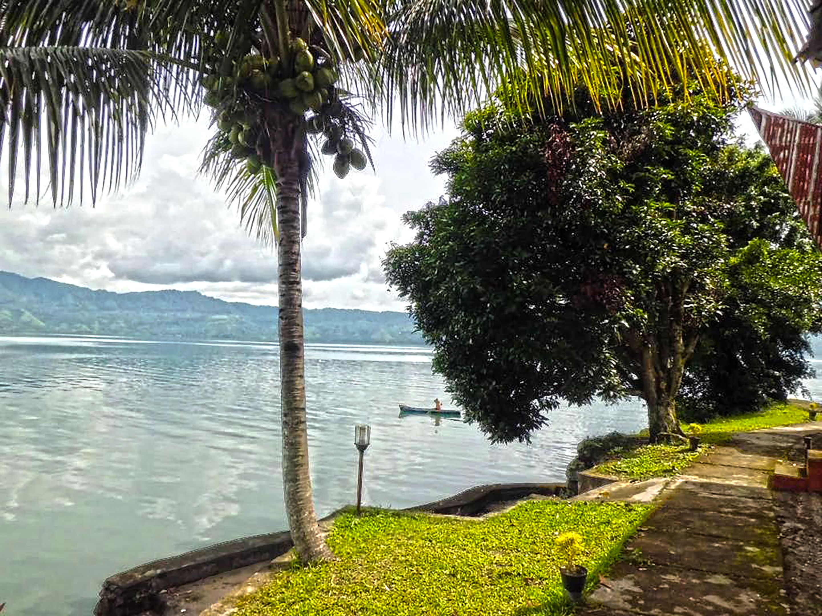 A serene lakeside view with a pathway leading to a dock, surrounded by lush greenery and palm trees.