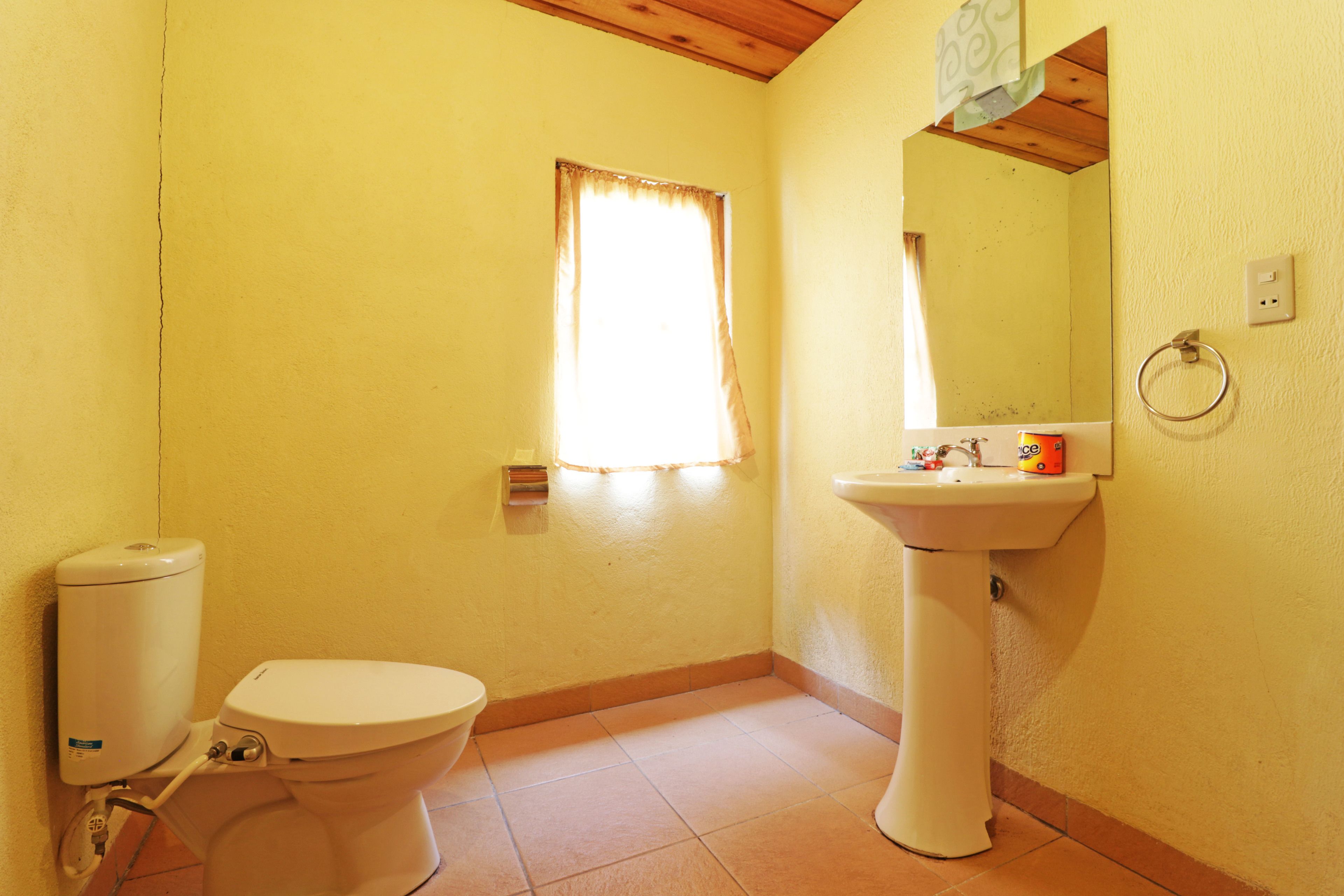 A bathroom with a toilet, sink, and window.
