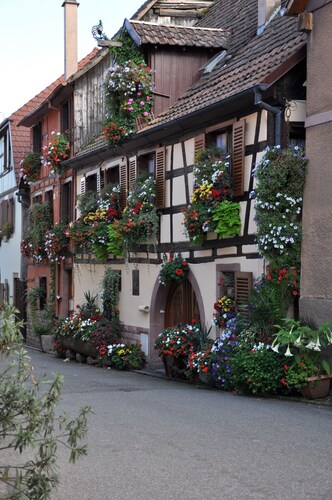 typical apartment in old house wine