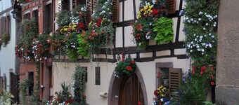 typisk leilighet i gammelt hus vin