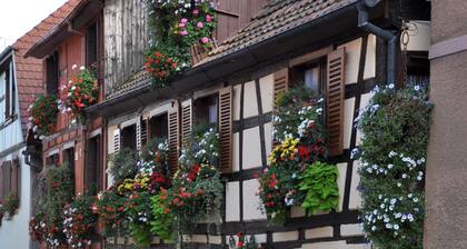 typical apartment in old house wine