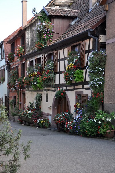 typical apartment in old house wine
