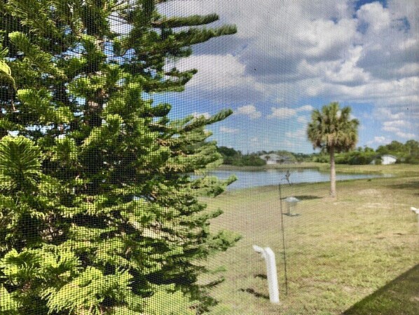 Vista a través de una malla con un área de césped, una pequeña masa de agua y algunos árboles.