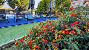 Ein Poolbereich mit Liegestühlen und Sonnenschirmen, umgeben von leuchtenden Blumen und Bäumen.