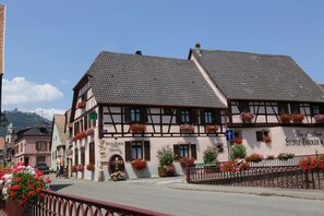 Front of property - Domaine Sylvie Fahrer & Fils (Saint-Hippolyte)