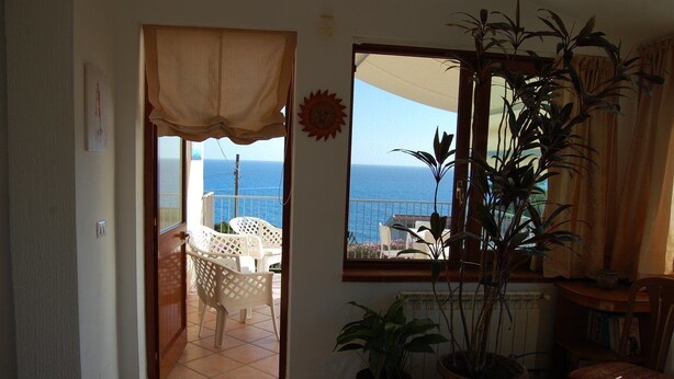 Une pièce avec vue sur la mer, une plante en pot et une chaise.