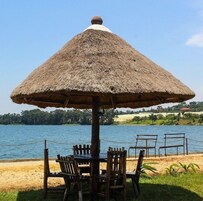 Servicio de la propiedad