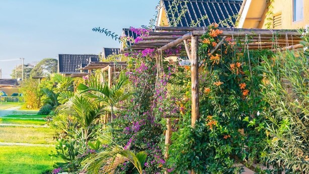 A garden with various plants and flowers, a pergola, and a building with solar panels. - Nyange Resort and Marina (Entebbe)