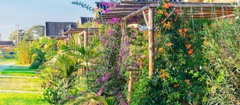 Nyange Resort and Marina