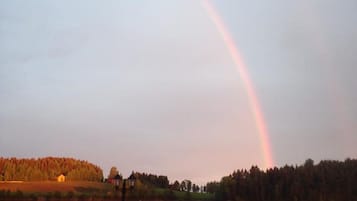 Khuôn viên nơi lưu trú