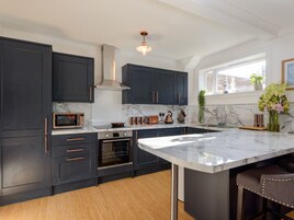 Apartment, 1 King Bed with Sofa bed | Private kitchen | Fridge, microwave, oven, stovetop