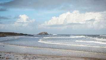 Apartment, 1 King Bed with Sofa bed | Beach