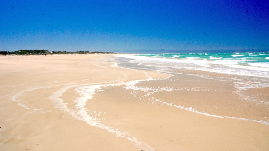 Beachfront Villa Africa Queen Jeffreys