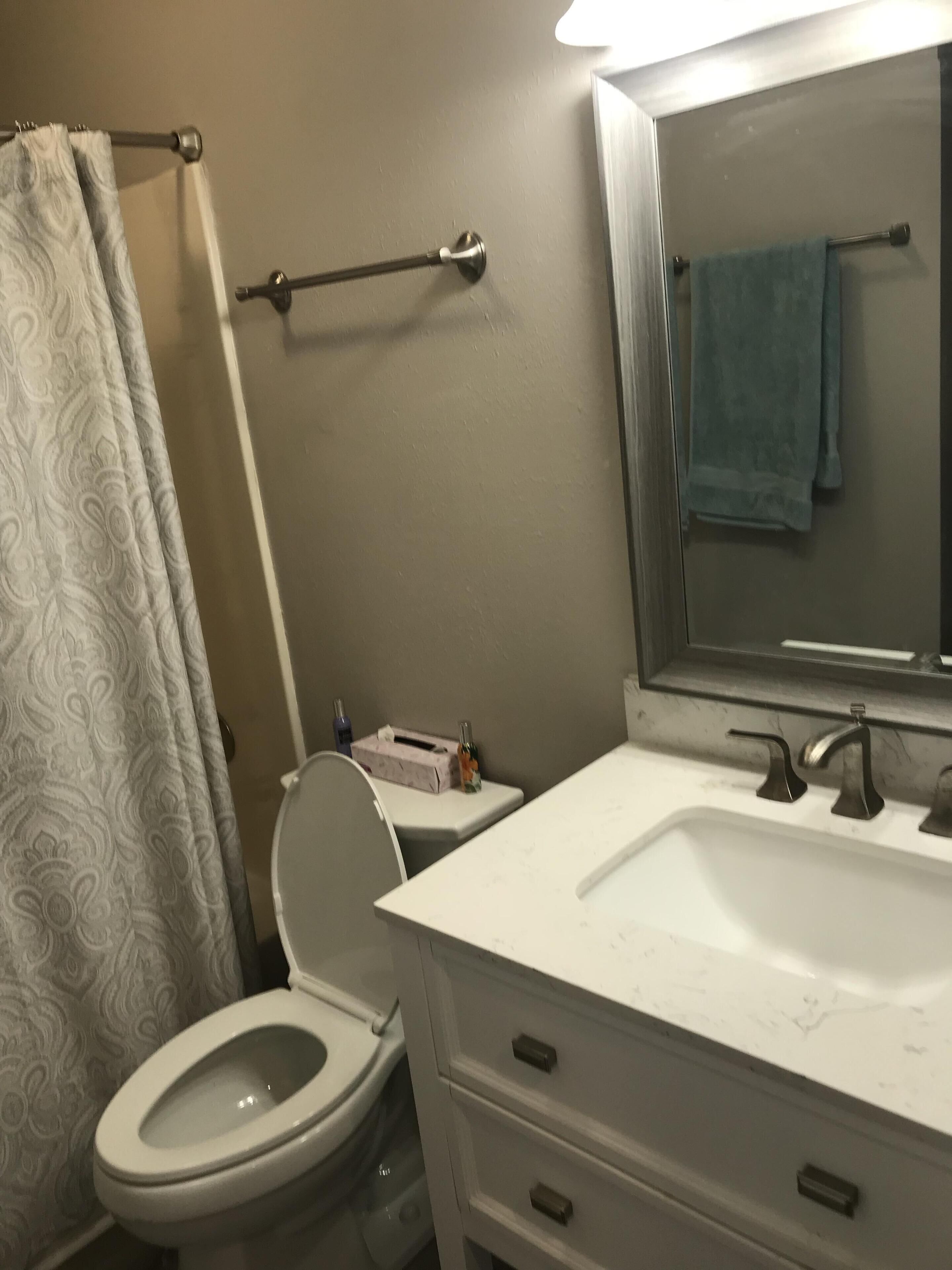 Un baño con inodoro, lavamanos y espejo.