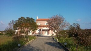 A paved driveway leading to a house with a red roof and white walls, surrounded by trees and grass.