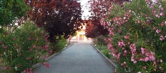 Elodie's Country House