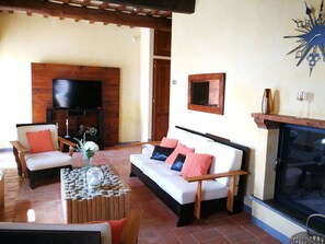 TV, fireplace, books