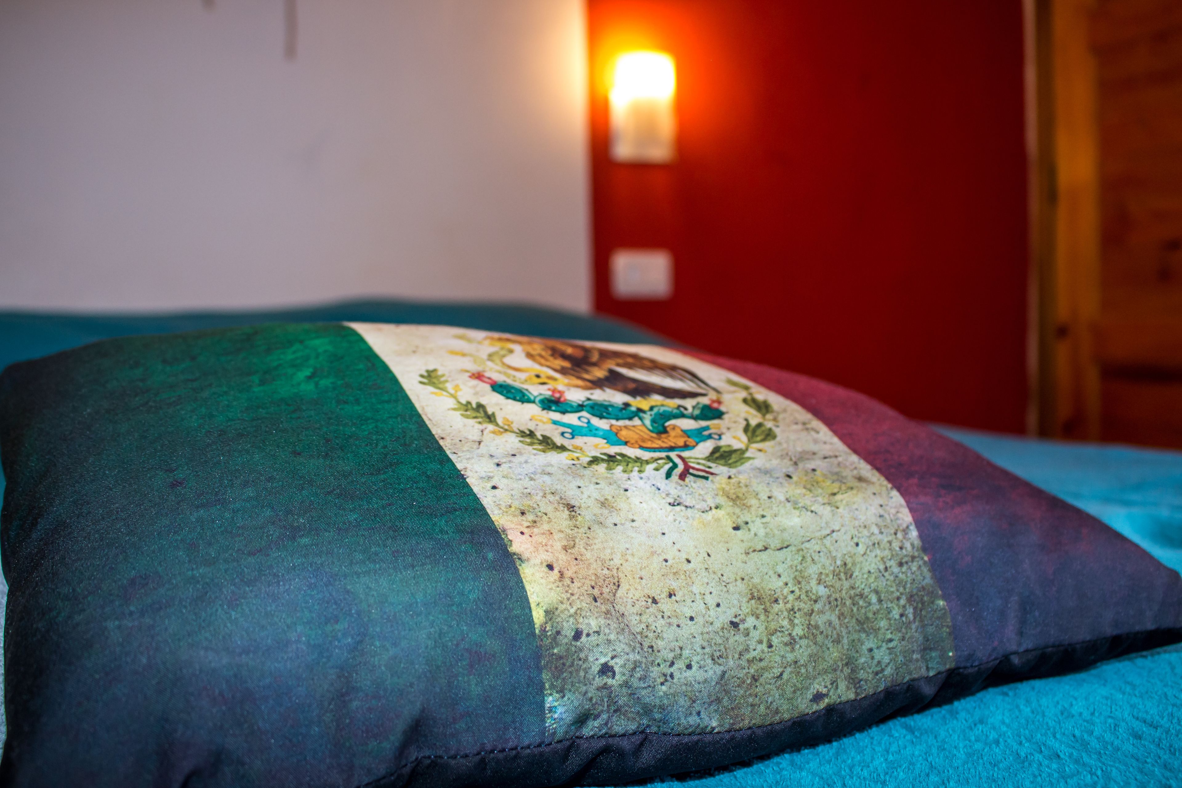 Een bed met een kleurrijk kussen met een familiewapen, een rode muur en een aan de muur bevestigd lampje.