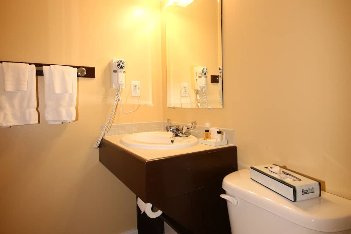 combined shower/bathtub, free toiletries, hair dryer, towels