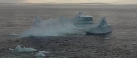 Des icebergs dans une étendue d’eau.