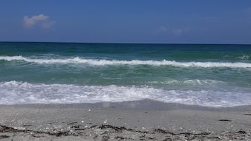 Plage à proximité, chaises longues, serviettes de plage