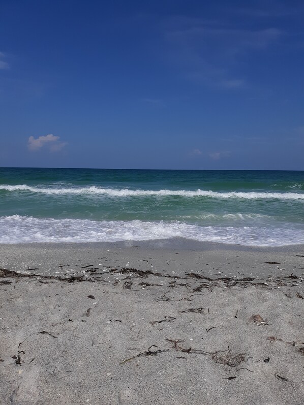 Beach nearby, sun-loungers, beach towels