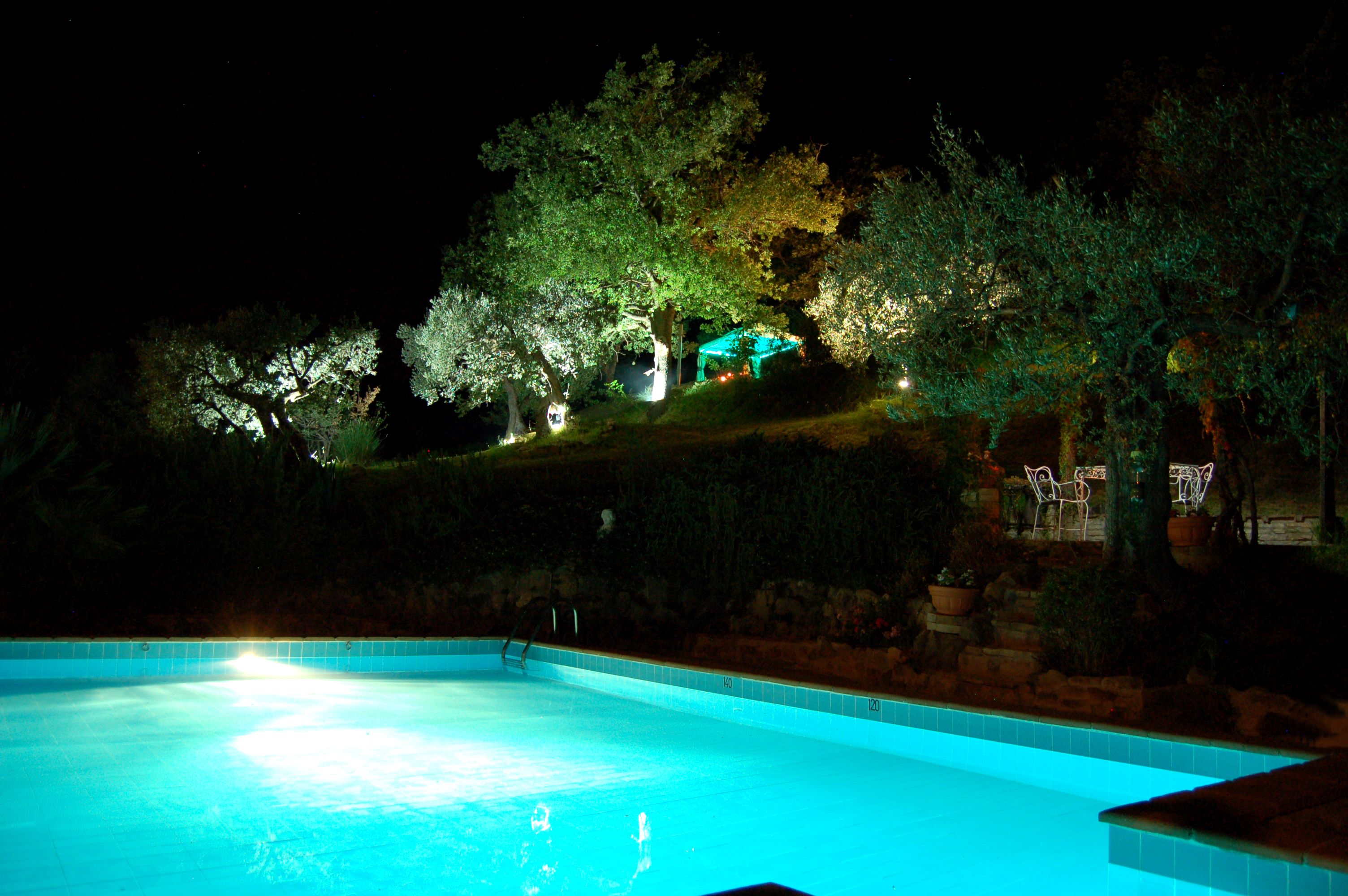 A swimming pool at night with illuminated trees and outdoor furniture.