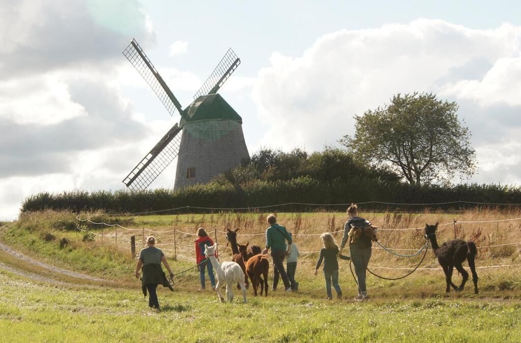 Eine Windmühle, eine Gruppe Personen und Pferde auf einer Wiese.