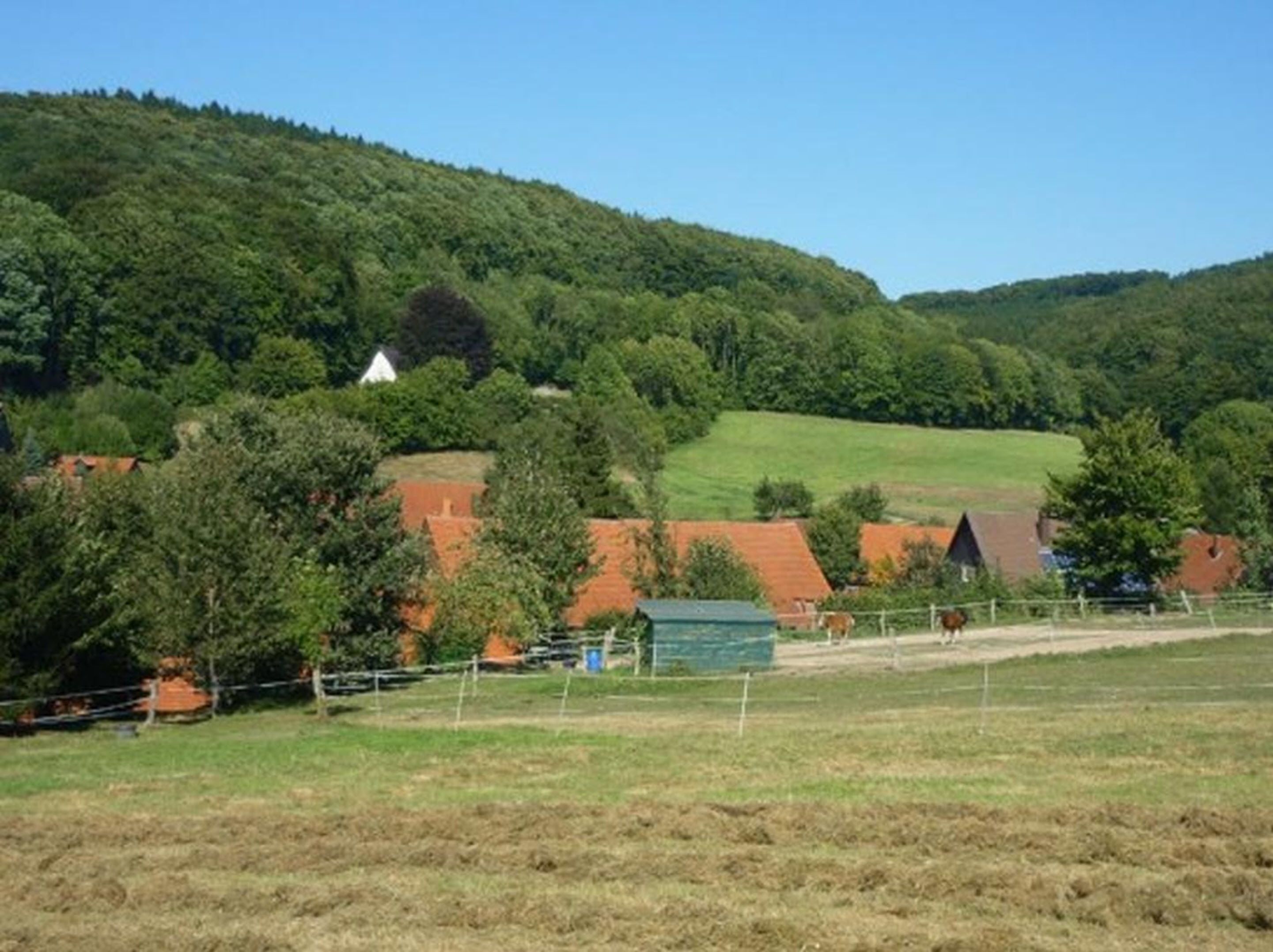 Un paisaje rural con casas, una zona vallada y una colina.