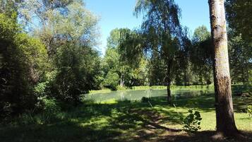 Taman