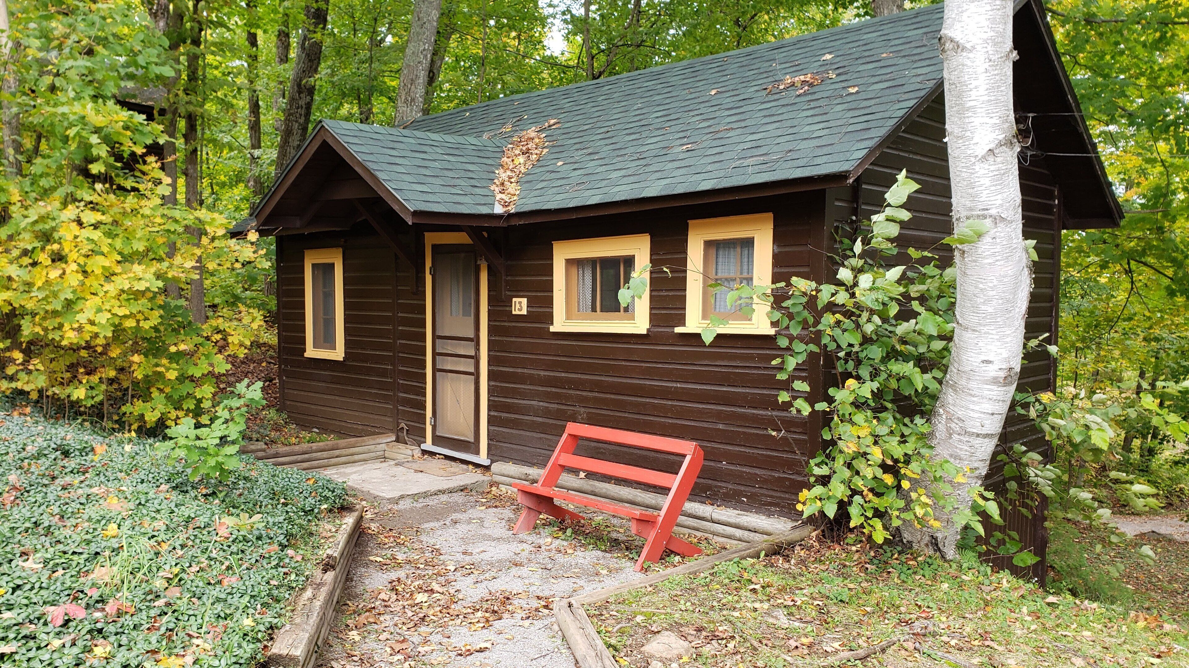 Large Cabin (12, 13) | Terrace/patio