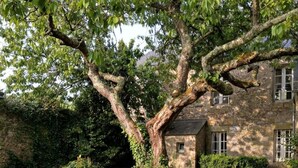 Un edificio de piedra con un gran árbol en primer plano, rodeado de un campo cubierto de césped y flores blancas.