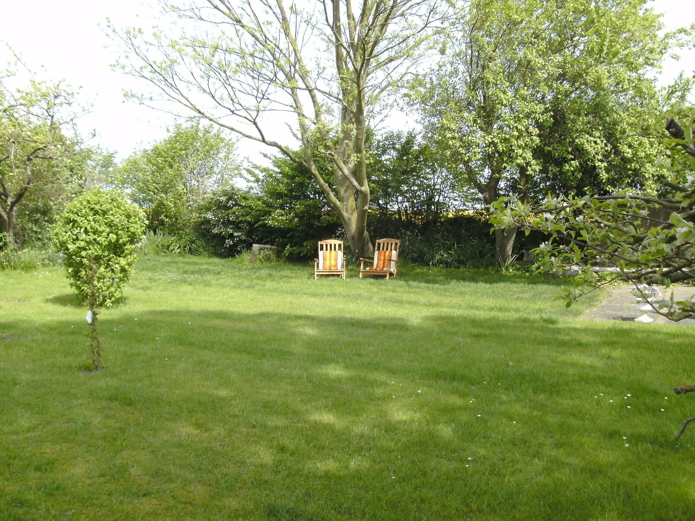 A grassy outdoor area with two wooden chairs and a small tree.