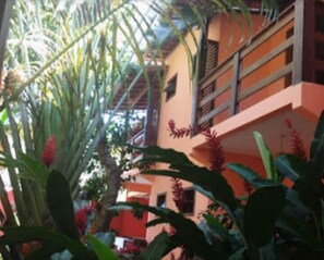 Detalle del exterior